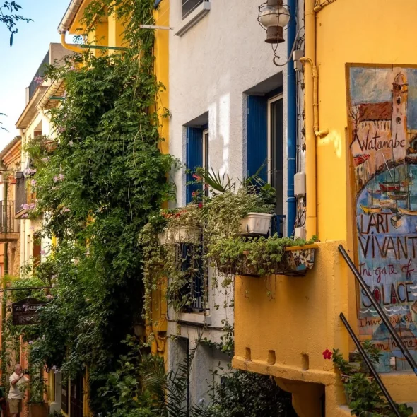 topito-les-tops-activites-a-faire-en-famille-rues-collioure