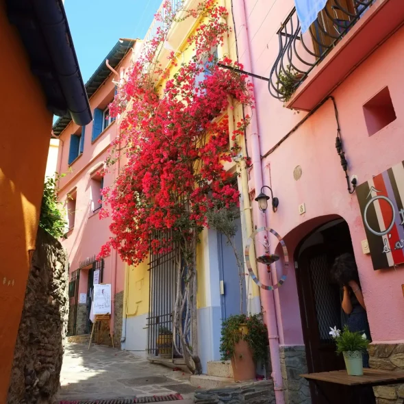 10 good reasons to come to Collioure