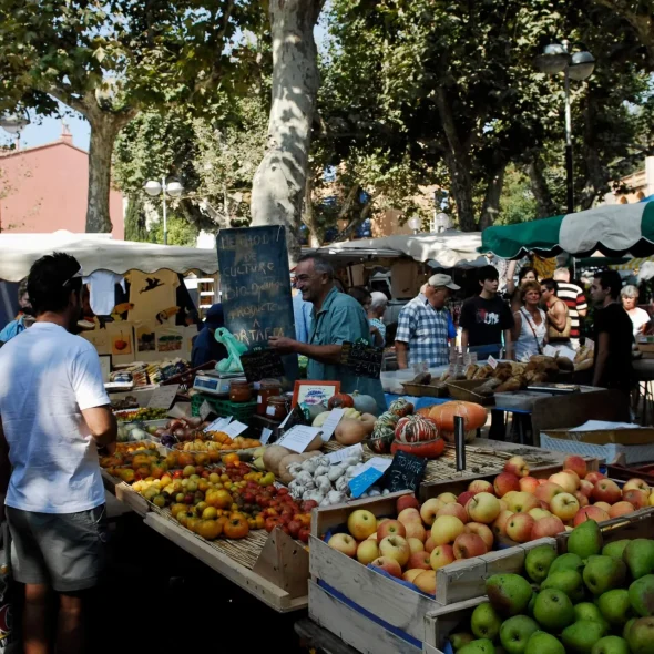10 good reasons to come to Collioure